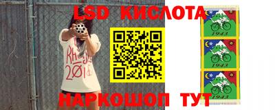 круглые Камышлов