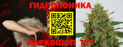 скорость Канаш